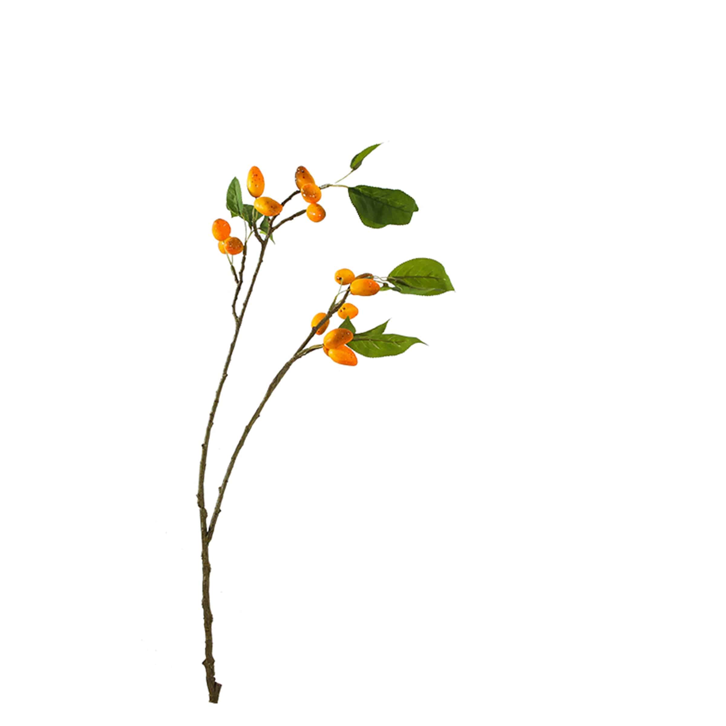 Fruit Spur Kd-Sp19649 -  Plants - ebarza Furniture UAE | Shop Modern Furniture in Abu Dhabi & Dubai - مفروشات ايبازرا في الامارات | تسوق اثاث عصري وديكورات مميزة في دبي وابوظبي