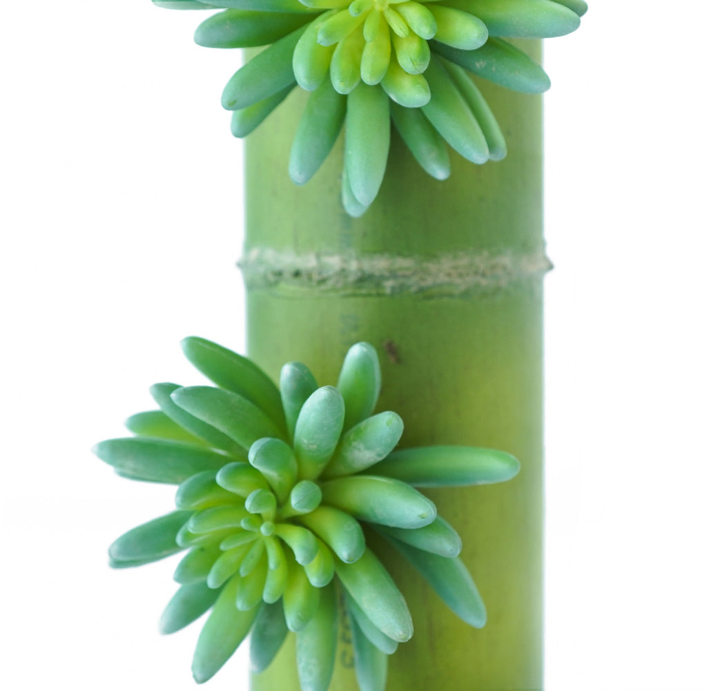 Handmade Decorative Artificial Bamboo Pendant Plant N36020-BJ104 -  Plants - ebarza Furniture UAE | Shop Modern Furniture in Abu Dhabi & Dubai - مفروشات ايبازرا في الامارات | تسوق اثاث عصري وديكورات مميزة في دبي وابوظبي