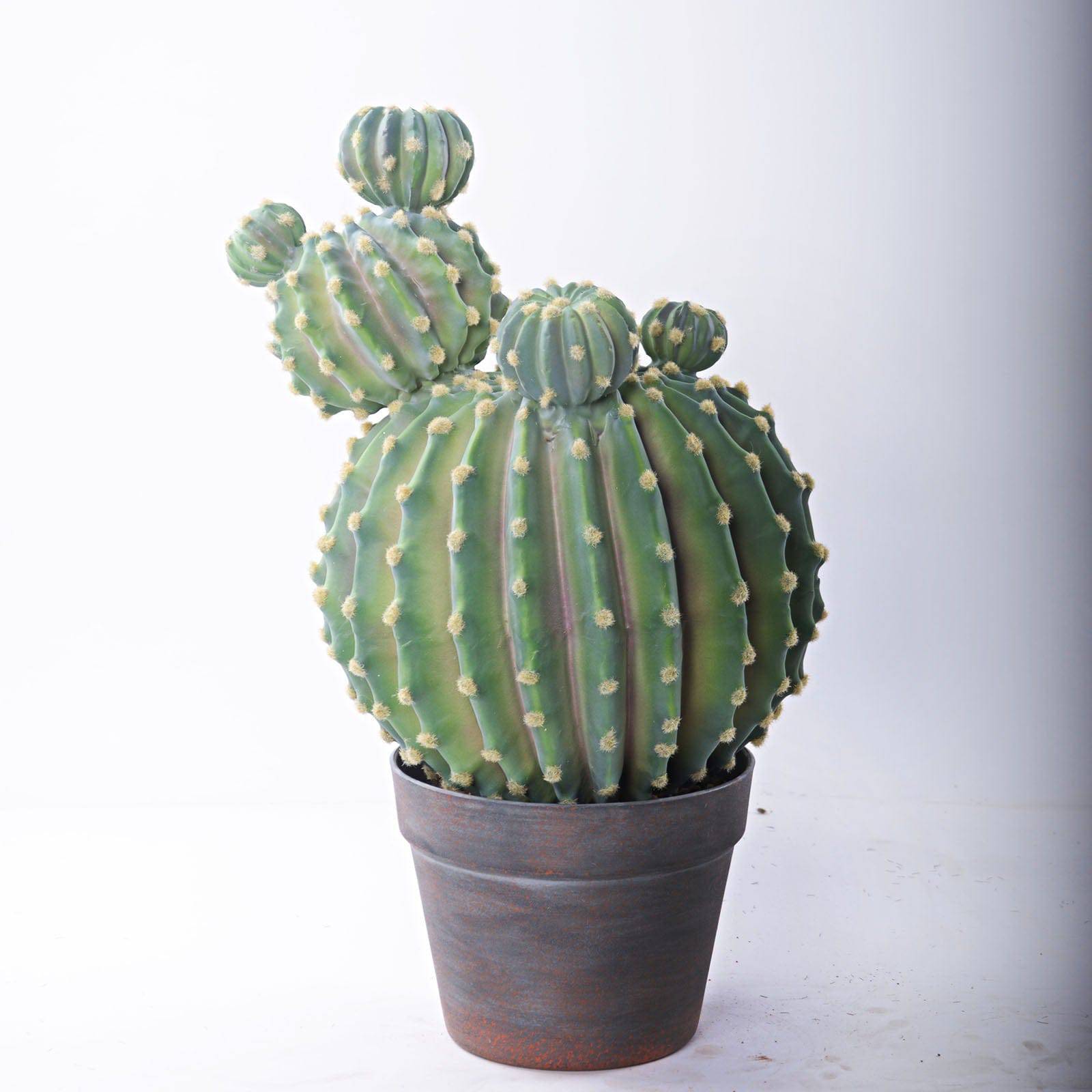 Handmade Decorative Artificial Cactus N35020-Sm097 -  Plants - ebarza Furniture UAE | Shop Modern Furniture in Abu Dhabi & Dubai - مفروشات ايبازرا في الامارات | تسوق اثاث عصري وديكورات مميزة في دبي وابوظبي