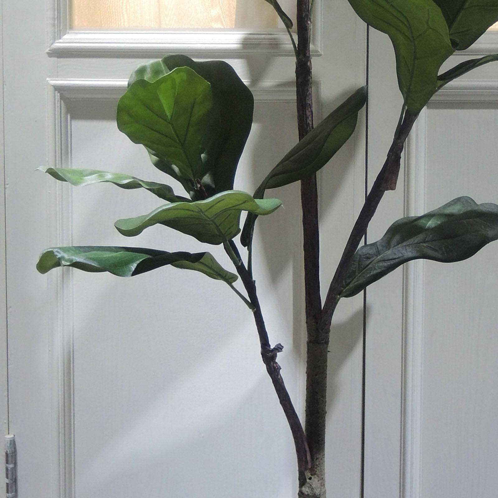 Handmade Decorative Artificial Fiddle Of Fig Tree N35120-S054 -  Plants - ebarza Furniture UAE | Shop Modern Furniture in Abu Dhabi & Dubai - مفروشات ايبازرا في الامارات | تسوق اثاث عصري وديكورات مميزة في دبي وابوظبي