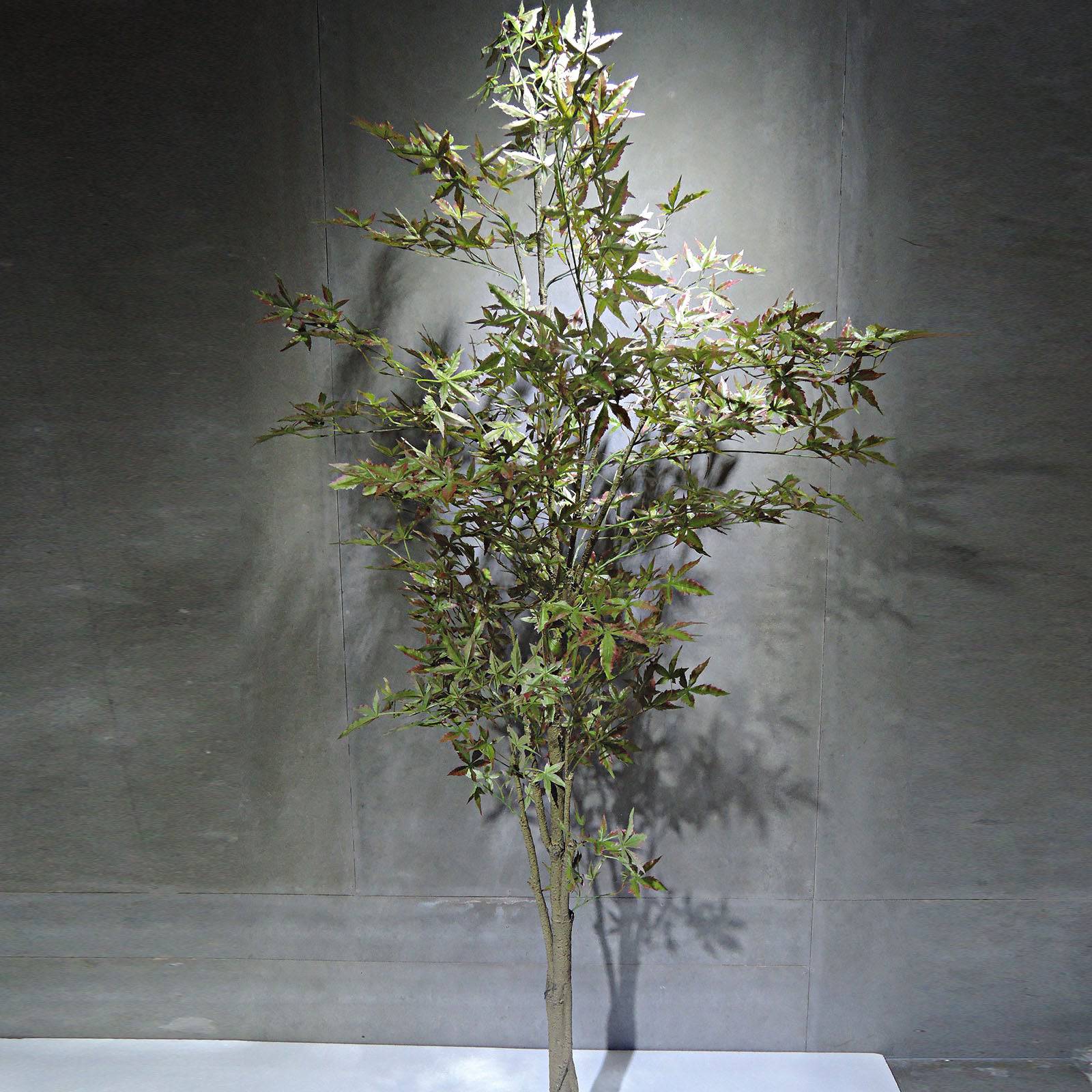 Handmade Decorative Artificial Maple Tree N35120-SM079 -  Plants - ebarza Furniture UAE | Shop Modern Furniture in Abu Dhabi & Dubai - مفروشات ايبازرا في الامارات | تسوق اثاث عصري وديكورات مميزة في دبي وابوظبي
