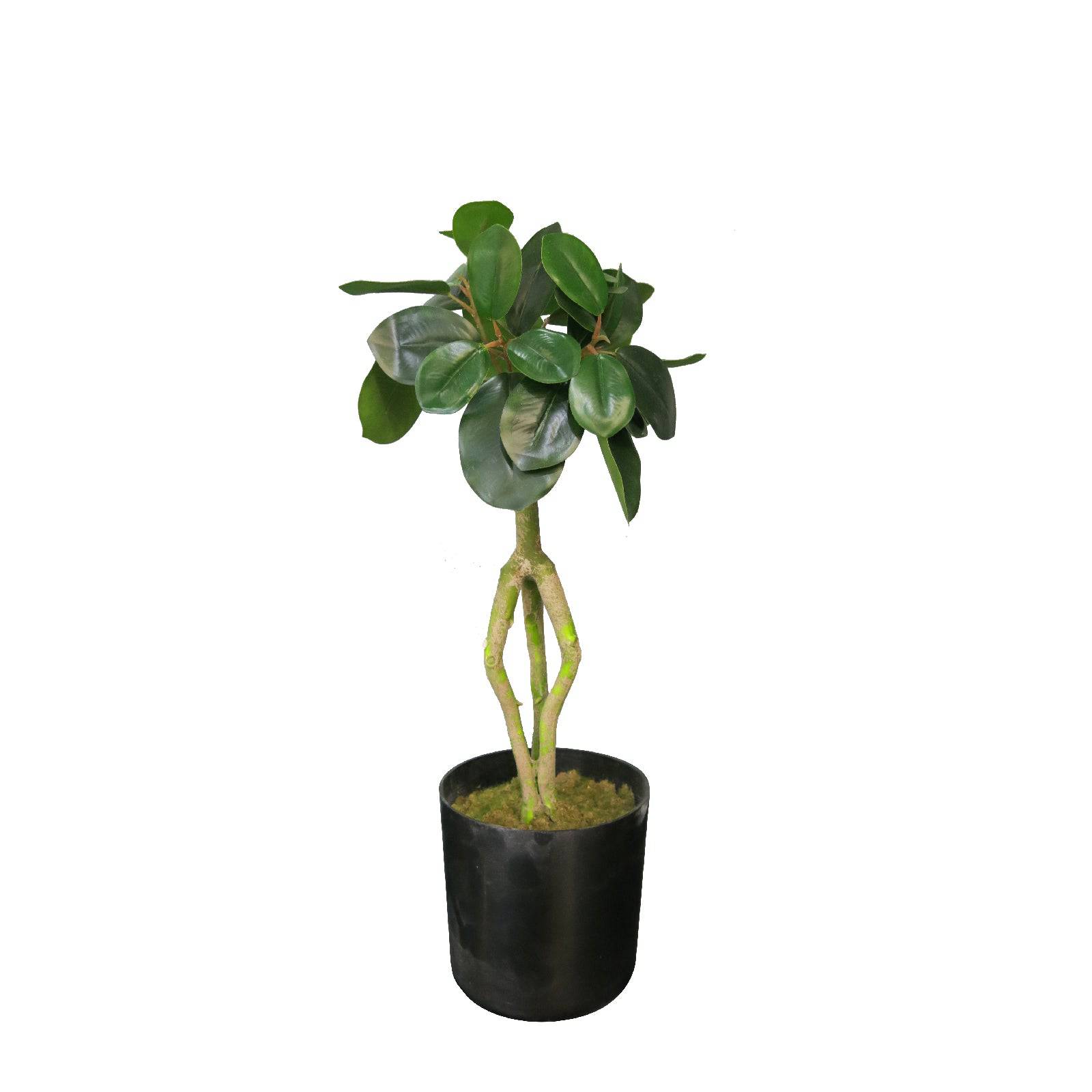 Handmade Decorative Artificial Plant  Dgly-Yc062 -  Plants - ebarza Furniture UAE | Shop Modern Furniture in Abu Dhabi & Dubai - مفروشات ايبازرا في الامارات | تسوق اثاث عصري وديكورات مميزة في دبي وابوظبي
