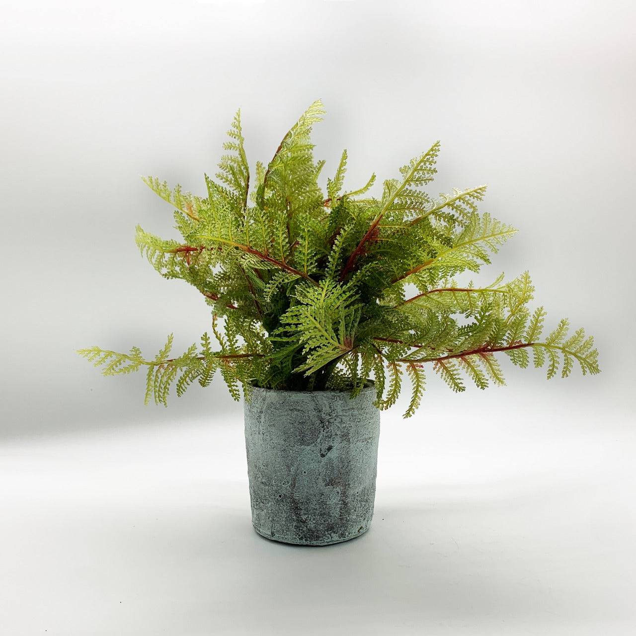 Handmade Decorative Artificial Plant Dgz 002 K32 -  Plants - ebarza Furniture UAE | Shop Modern Furniture in Abu Dhabi & Dubai - مفروشات ايبازرا في الامارات | تسوق اثاث عصري وديكورات مميزة في دبي وابوظبي
