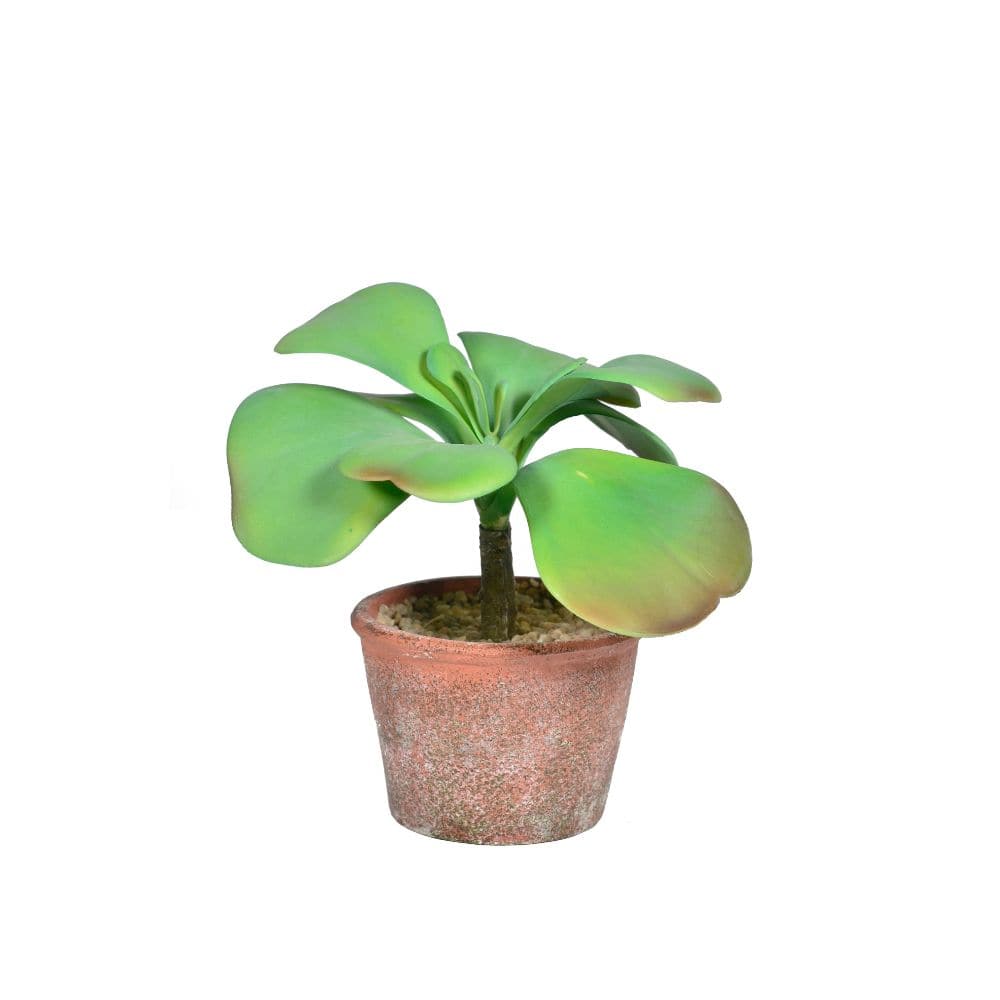 Handmade Decorative Artificial Plant  N35020-Pz125 -  Plants - ebarza Furniture UAE | Shop Modern Furniture in Abu Dhabi & Dubai - مفروشات ايبازرا في الامارات | تسوق اثاث عصري وديكورات مميزة في دبي وابوظبي