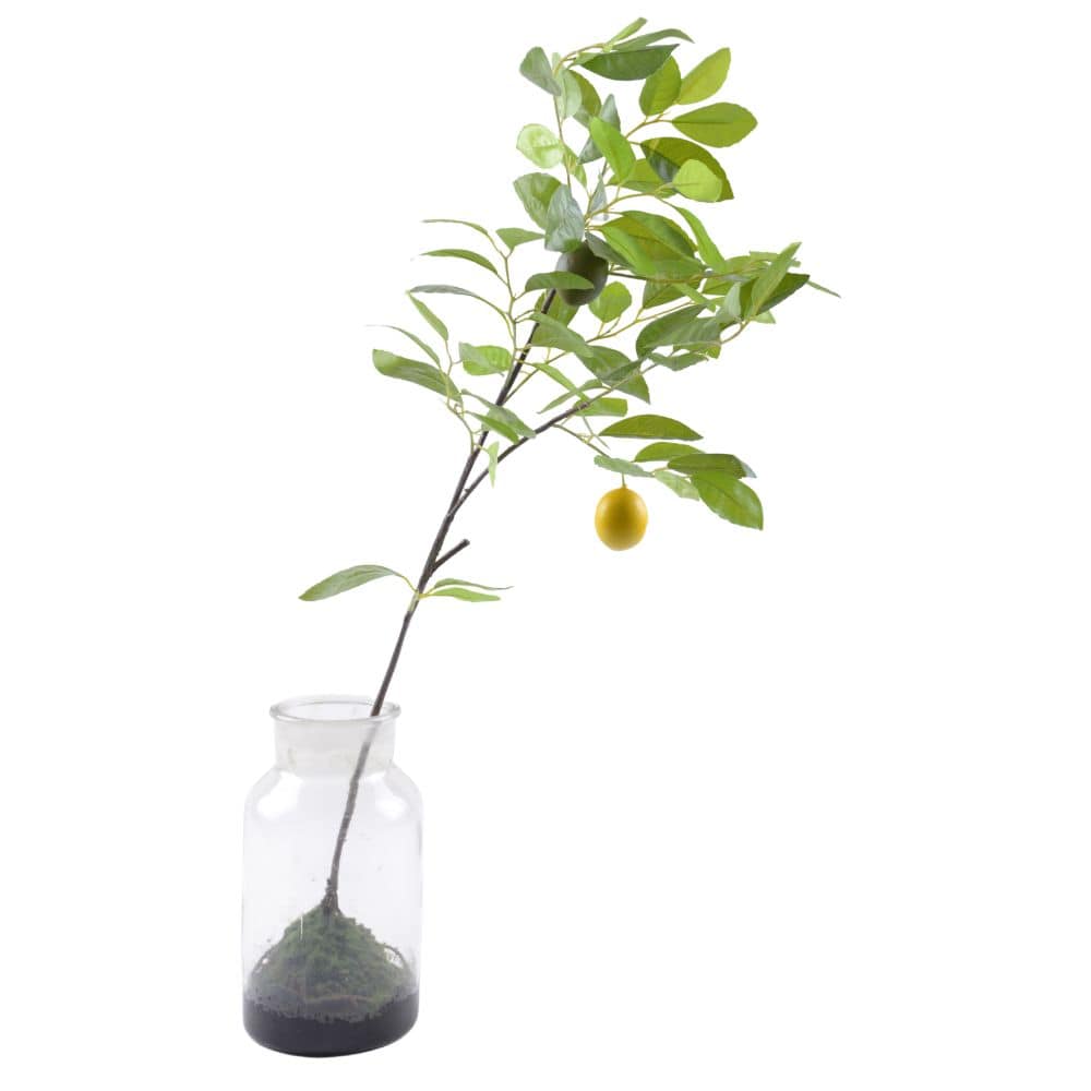 Handmade Decorative Artificial Plant  N36020-Bj184 -  Plants - ebarza Furniture UAE | Shop Modern Furniture in Abu Dhabi & Dubai - مفروشات ايبازرا في الامارات | تسوق اثاث عصري وديكورات مميزة في دبي وابوظبي