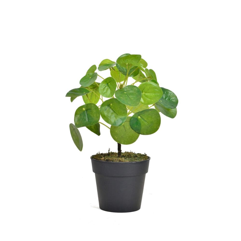 Handmade Decorative Artificial Plant  N36020-Pz055 -  Plants - ebarza Furniture UAE | Shop Modern Furniture in Abu Dhabi & Dubai - مفروشات ايبازرا في الامارات | تسوق اثاث عصري وديكورات مميزة في دبي وابوظبي