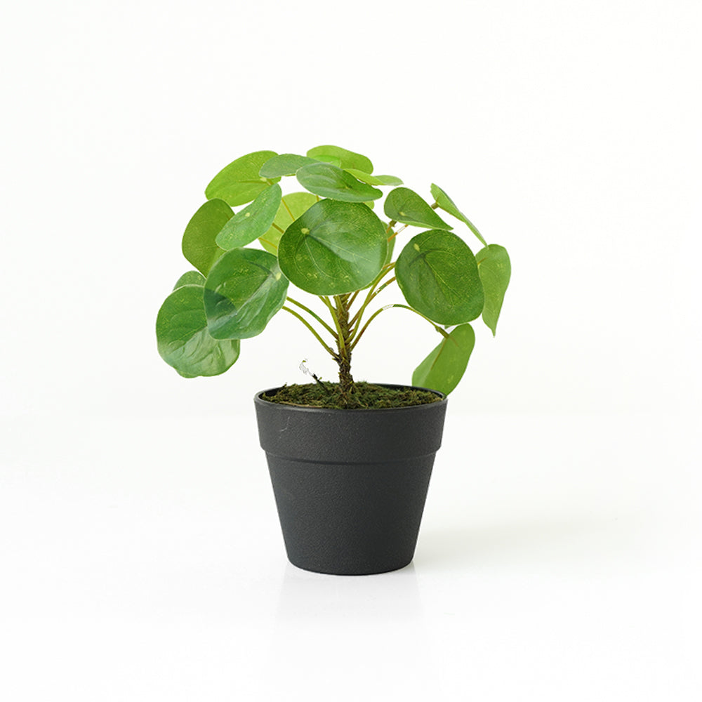 Handmade Decorative Artificial Plant N36020-PZ156 -  Plants - ebarza Furniture UAE | Shop Modern Furniture in Abu Dhabi & Dubai - مفروشات ايبازرا في الامارات | تسوق اثاث عصري وديكورات مميزة في دبي وابوظبي