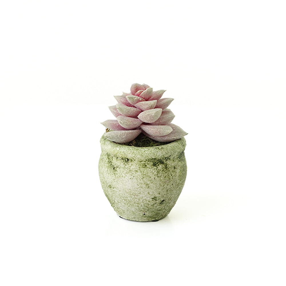 Handmade Decorative Artificial Plant N36520-PZ029 -  Plants - ebarza Furniture UAE | Shop Modern Furniture in Abu Dhabi & Dubai - مفروشات ايبازرا في الامارات | تسوق اثاث عصري وديكورات مميزة في دبي وابوظبي