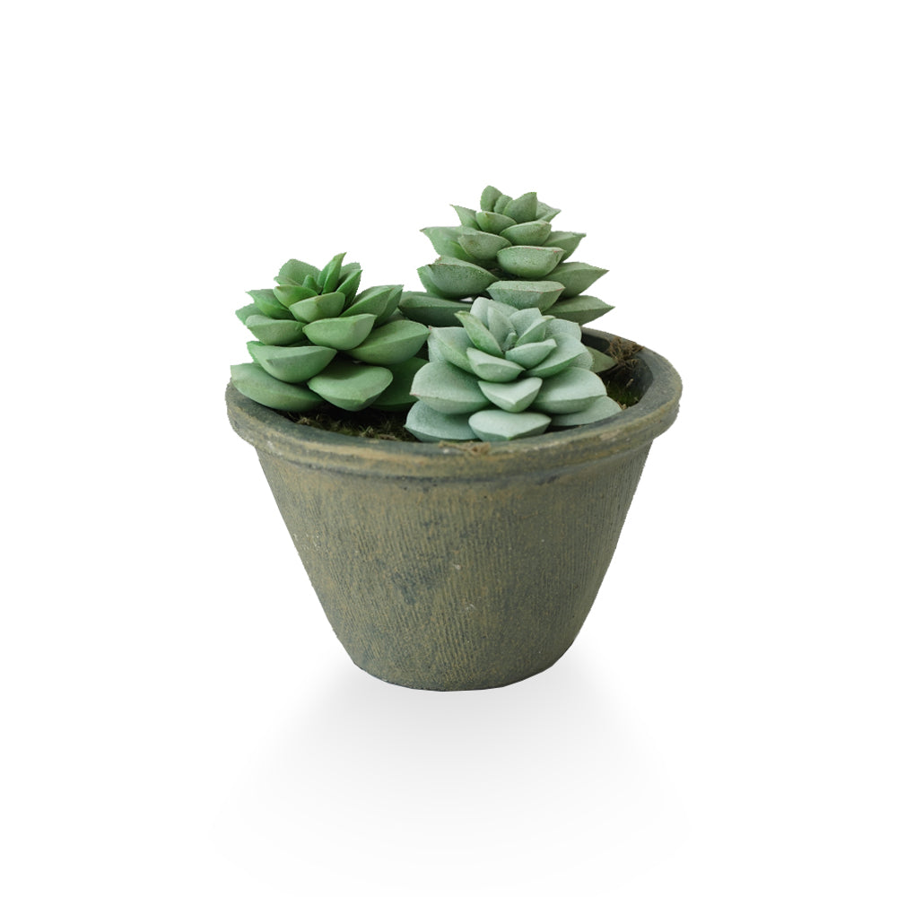 Handmade Decorative Artificial Plant N36520-PZ033-GR -  Plants - ebarza Furniture UAE | Shop Modern Furniture in Abu Dhabi & Dubai - مفروشات ايبازرا في الامارات | تسوق اثاث عصري وديكورات مميزة في دبي وابوظبي