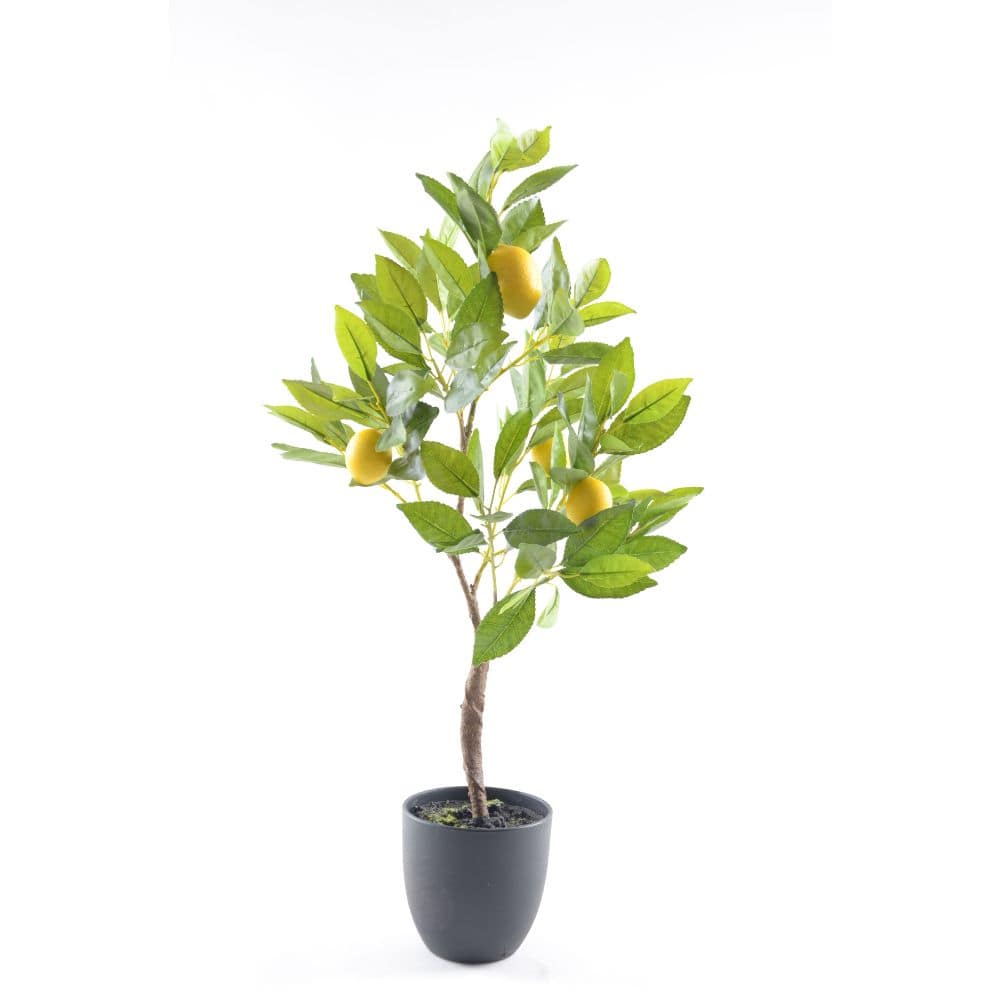 Handmade Decorative Artificial Plant  N37220-Pz004 -  Plants - ebarza Furniture UAE | Shop Modern Furniture in Abu Dhabi & Dubai - مفروشات ايبازرا في الامارات | تسوق اثاث عصري وديكورات مميزة في دبي وابوظبي