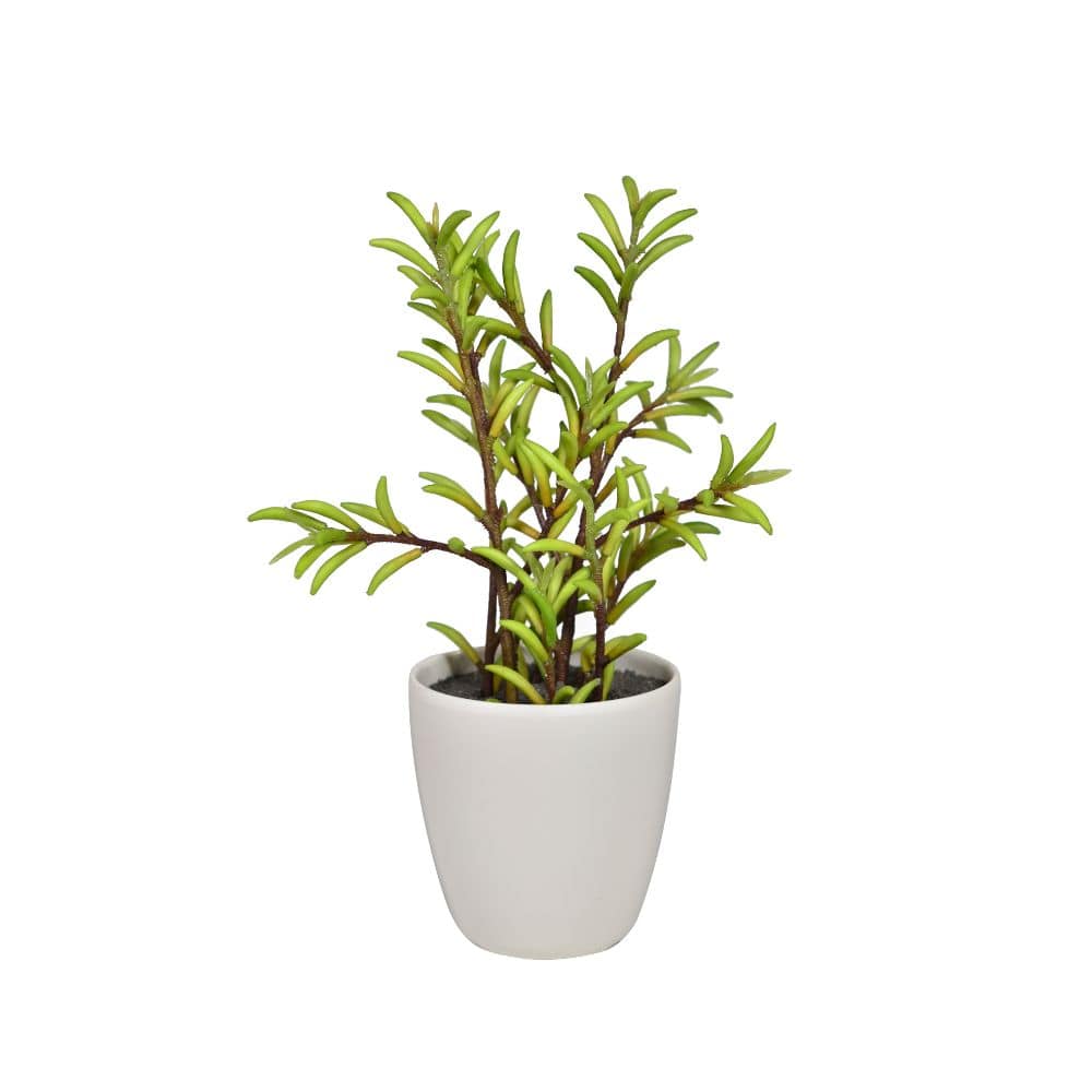 Handmade Decorative Artificial Plant  N38120-Pz002 -  Plants - ebarza Furniture UAE | Shop Modern Furniture in Abu Dhabi & Dubai - مفروشات ايبازرا في الامارات | تسوق اثاث عصري وديكورات مميزة في دبي وابوظبي