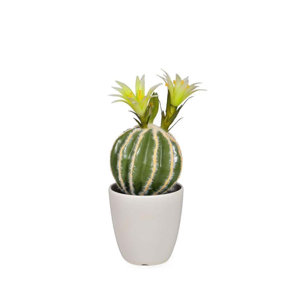 Handmade Decorative Artificial Plant  N38120-Pz004 -  Plants - ebarza Furniture UAE | Shop Modern Furniture in Abu Dhabi & Dubai - مفروشات ايبازرا في الامارات | تسوق اثاث عصري وديكورات مميزة في دبي وابوظبي