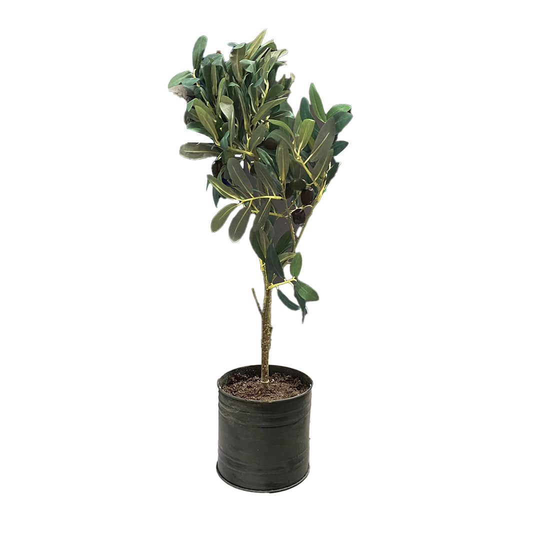 Handmade Decorative Artificial Plant  N38420-Pz006 -  Plants - ebarza Furniture UAE | Shop Modern Furniture in Abu Dhabi & Dubai - مفروشات ايبازرا في الامارات | تسوق اثاث عصري وديكورات مميزة في دبي وابوظبي