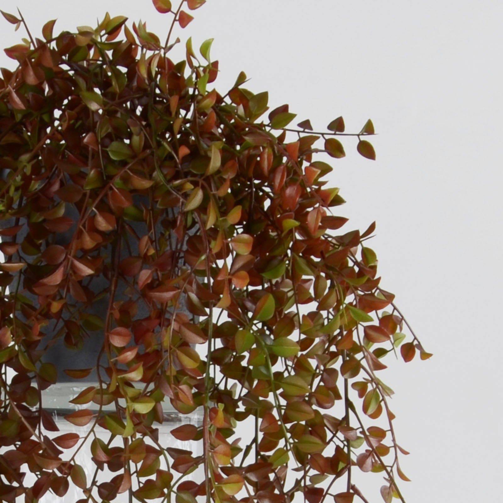 Handmade   Decorative Artificial Plant  Sh16-026 -  Plants - ebarza Furniture UAE | Shop Modern Furniture in Abu Dhabi & Dubai - مفروشات ايبازرا في الامارات | تسوق اثاث عصري وديكورات مميزة في دبي وابوظبي