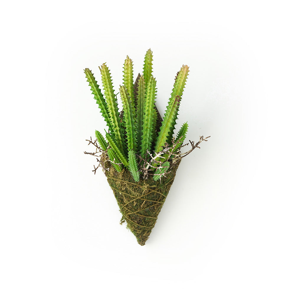 Handmade Decorative Artificial Plant Wall  N36020-XG164 -  Plants - ebarza Furniture UAE | Shop Modern Furniture in Abu Dhabi & Dubai - مفروشات ايبازرا في الامارات | تسوق اثاث عصري وديكورات مميزة في دبي وابوظبي