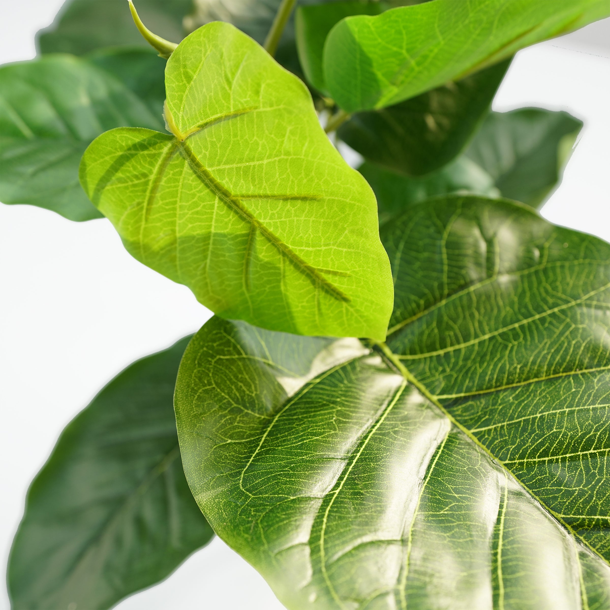 Handmade Decorative Artificial Plant With Grass  N36020-BJ200 -  Plants - ebarza Furniture UAE | Shop Modern Furniture in Abu Dhabi & Dubai - مفروشات ايبازرا في الامارات | تسوق اثاث عصري وديكورات مميزة في دبي وابوظبي