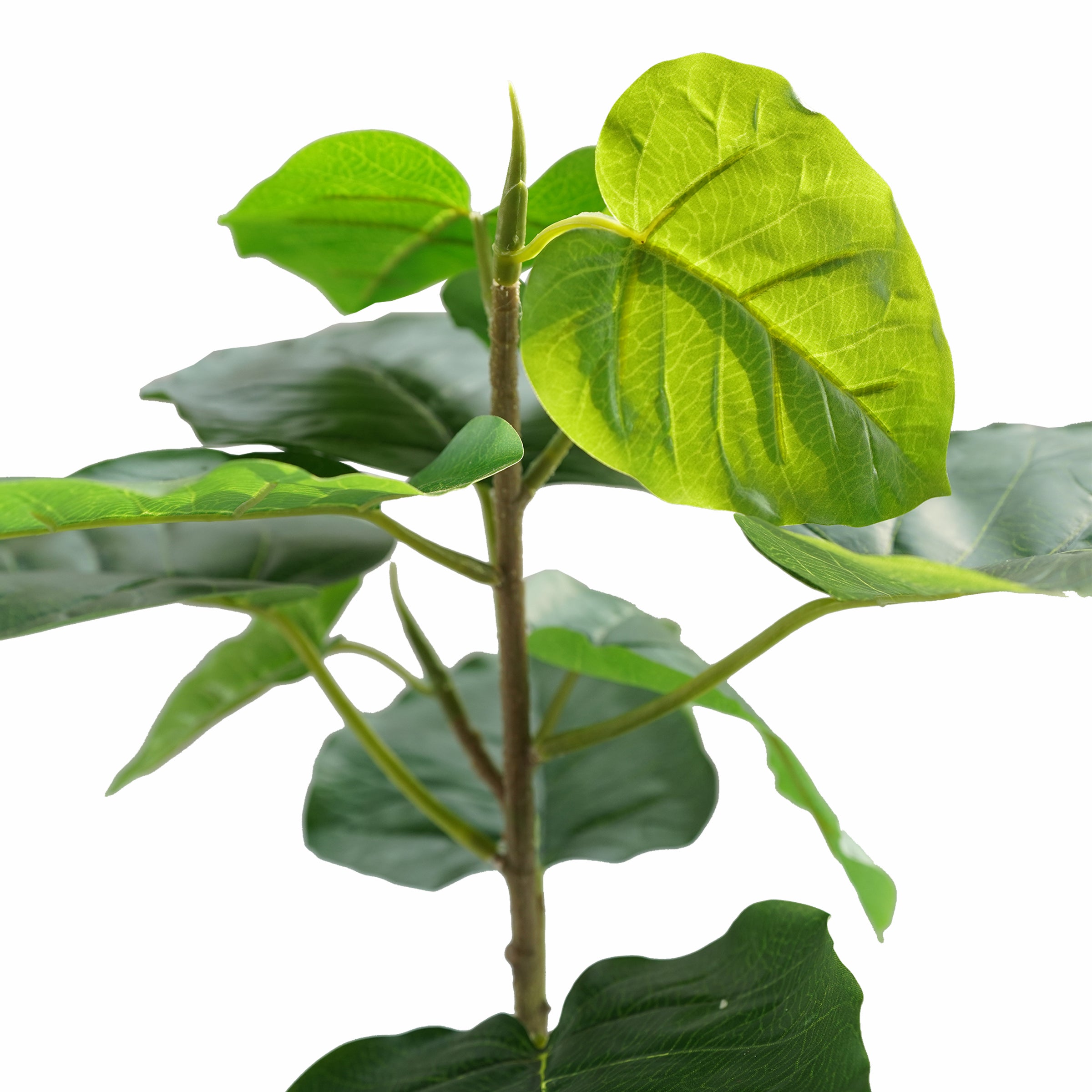 Handmade Decorative Artificial Plant With Grass  N36020-BJ200 -  Plants - ebarza Furniture UAE | Shop Modern Furniture in Abu Dhabi & Dubai - مفروشات ايبازرا في الامارات | تسوق اثاث عصري وديكورات مميزة في دبي وابوظبي