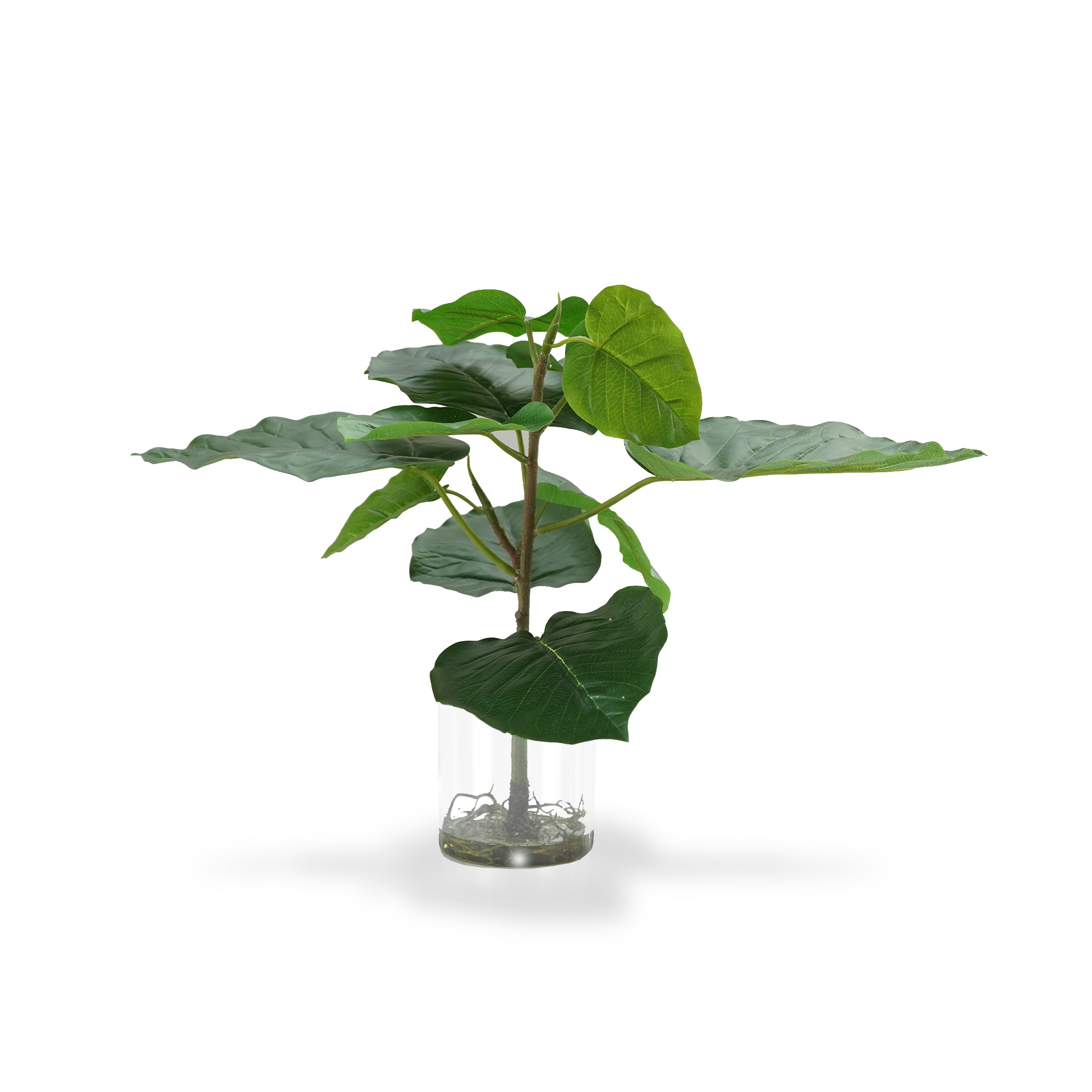 Handmade Decorative Artificial Plant With Grass  N36020-BJ200 -  Plants - ebarza Furniture UAE | Shop Modern Furniture in Abu Dhabi & Dubai - مفروشات ايبازرا في الامارات | تسوق اثاث عصري وديكورات مميزة في دبي وابوظبي