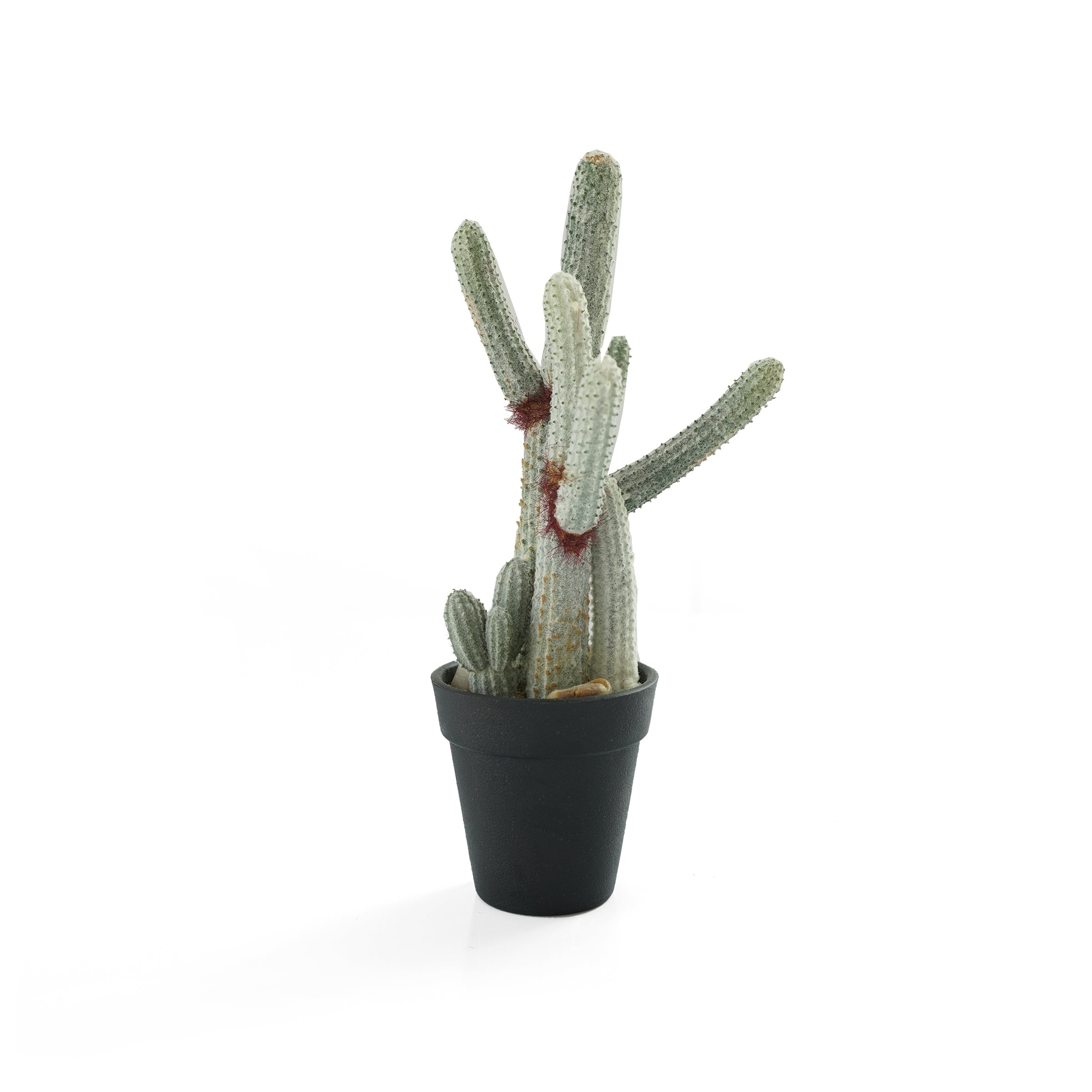Handmade Decorative Artificial Potted Cactus N35020-SM121 -  Plants - ebarza Furniture UAE | Shop Modern Furniture in Abu Dhabi & Dubai - مفروشات ايبازرا في الامارات | تسوق اثاث عصري وديكورات مميزة في دبي وابوظبي