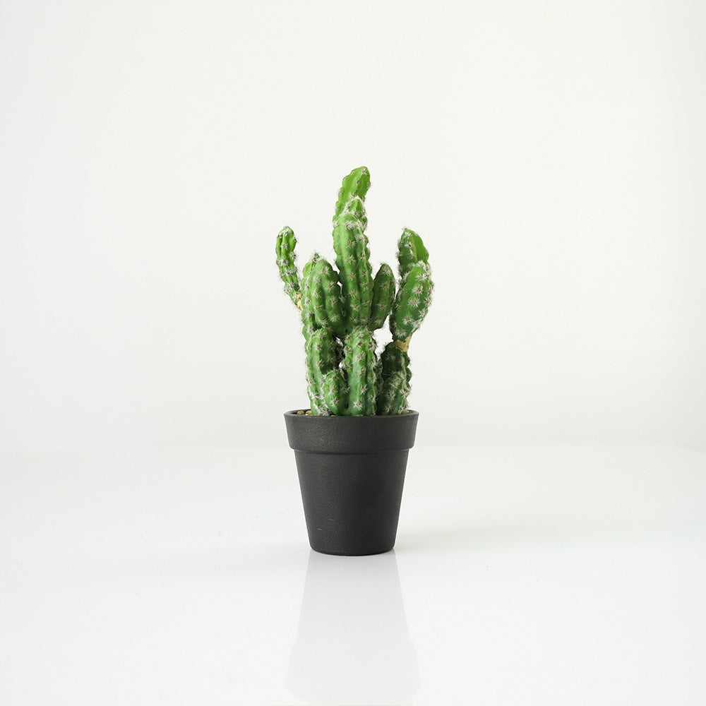 Handmade Decorative Artificial Potted Cactus N35020-SM124 -  Plants - ebarza Furniture UAE | Shop Modern Furniture in Abu Dhabi & Dubai - مفروشات ايبازرا في الامارات | تسوق اثاث عصري وديكورات مميزة في دبي وابوظبي