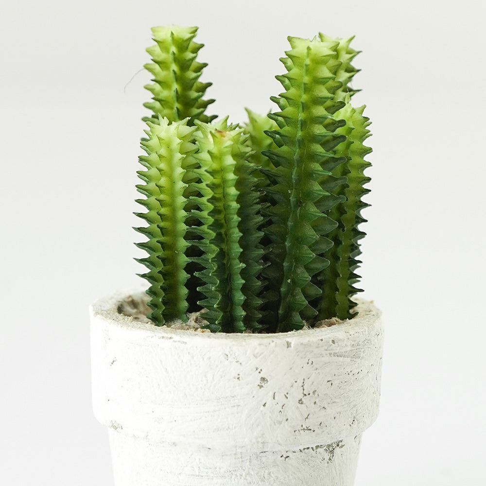 Handmade Decorative Artificial Potted Cactus N35020-SM157 -  Plants - ebarza Furniture UAE | Shop Modern Furniture in Abu Dhabi & Dubai - مفروشات ايبازرا في الامارات | تسوق اثاث عصري وديكورات مميزة في دبي وابوظبي