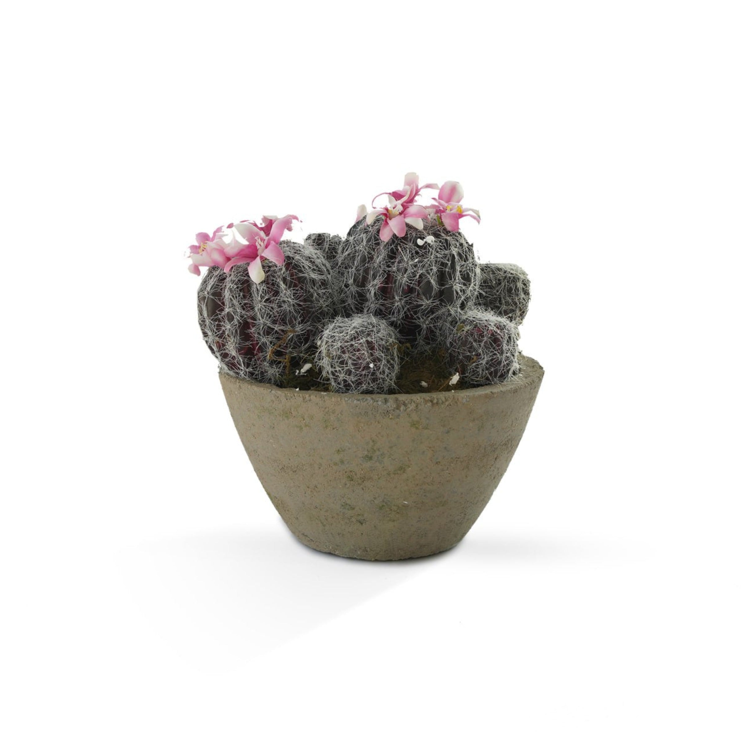 Handmade Decorative Artificial Potted Cactus N36520-PZ024 -  Plants - ebarza Furniture UAE | Shop Modern Furniture in Abu Dhabi & Dubai - مفروشات ايبازرا في الامارات | تسوق اثاث عصري وديكورات مميزة في دبي وابوظبي