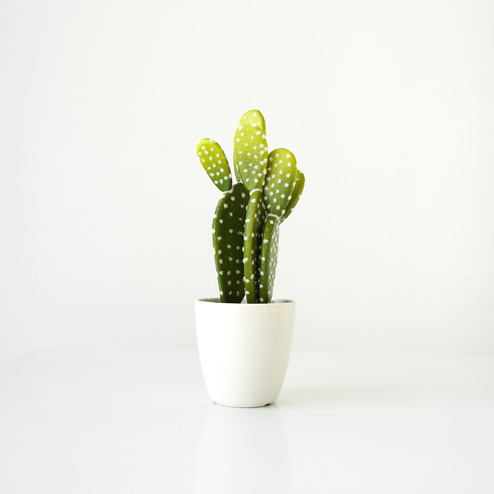 Handmade Decorative Artificial Potted Cactus N38120-PZ003 -  Plants - ebarza Furniture UAE | Shop Modern Furniture in Abu Dhabi & Dubai - مفروشات ايبازرا في الامارات | تسوق اثاث عصري وديكورات مميزة في دبي وابوظبي