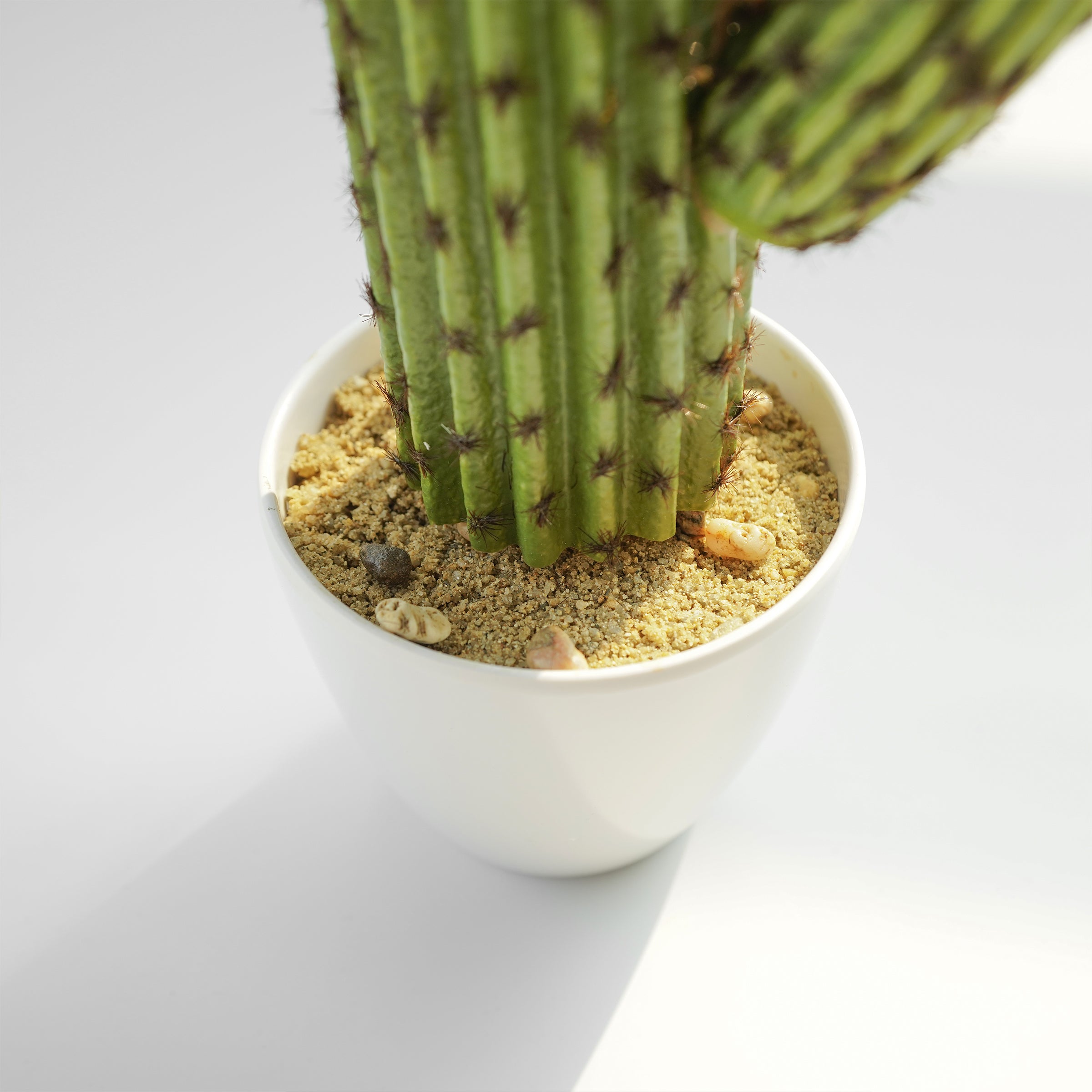 Handmade Decorative Artificial Potted Cactus N38120-PZ005 -  Plants - ebarza Furniture UAE | Shop Modern Furniture in Abu Dhabi & Dubai - مفروشات ايبازرا في الامارات | تسوق اثاث عصري وديكورات مميزة في دبي وابوظبي