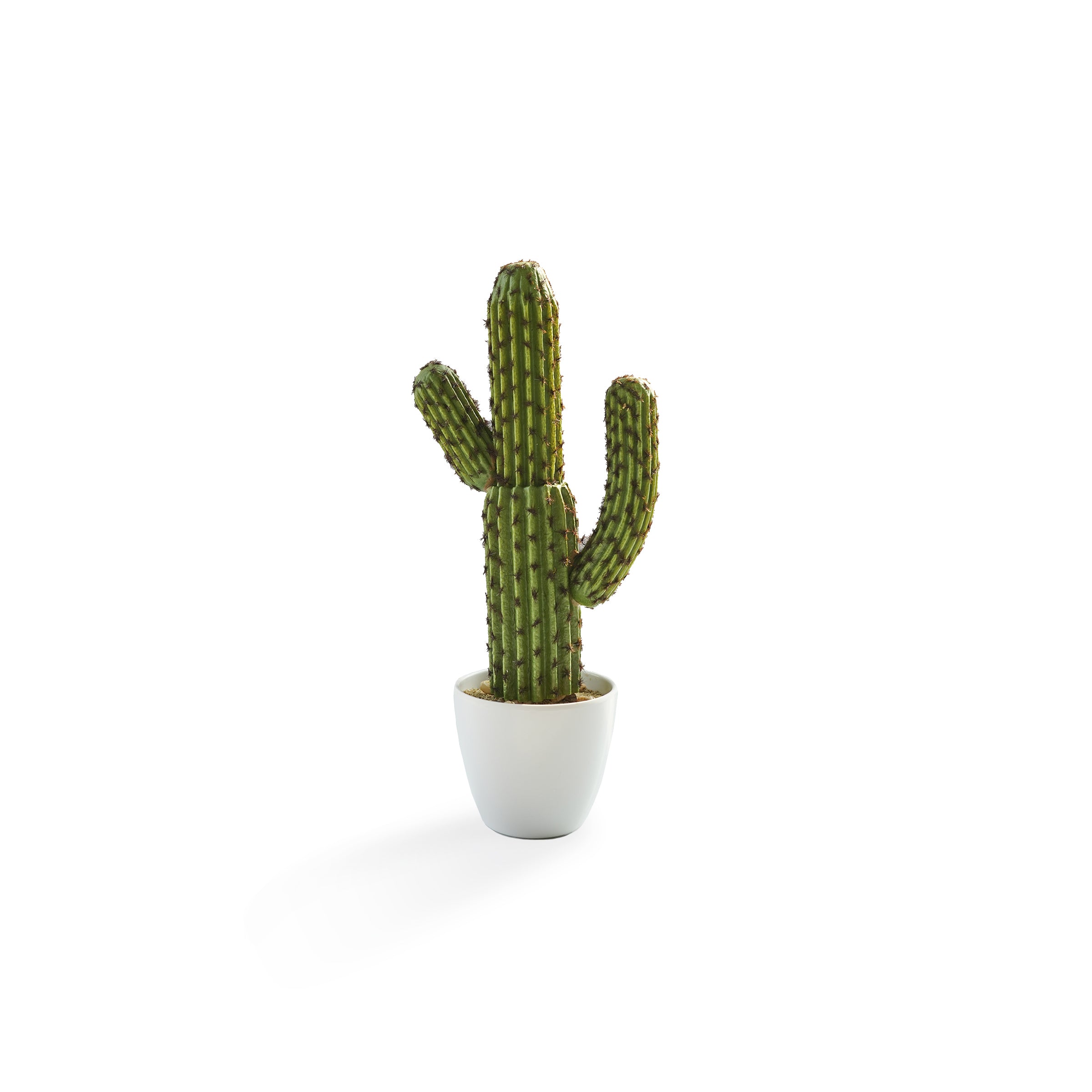 Handmade Decorative Artificial Potted Cactus N38120-PZ005 -  Plants - ebarza Furniture UAE | Shop Modern Furniture in Abu Dhabi & Dubai - مفروشات ايبازرا في الامارات | تسوق اثاث عصري وديكورات مميزة في دبي وابوظبي