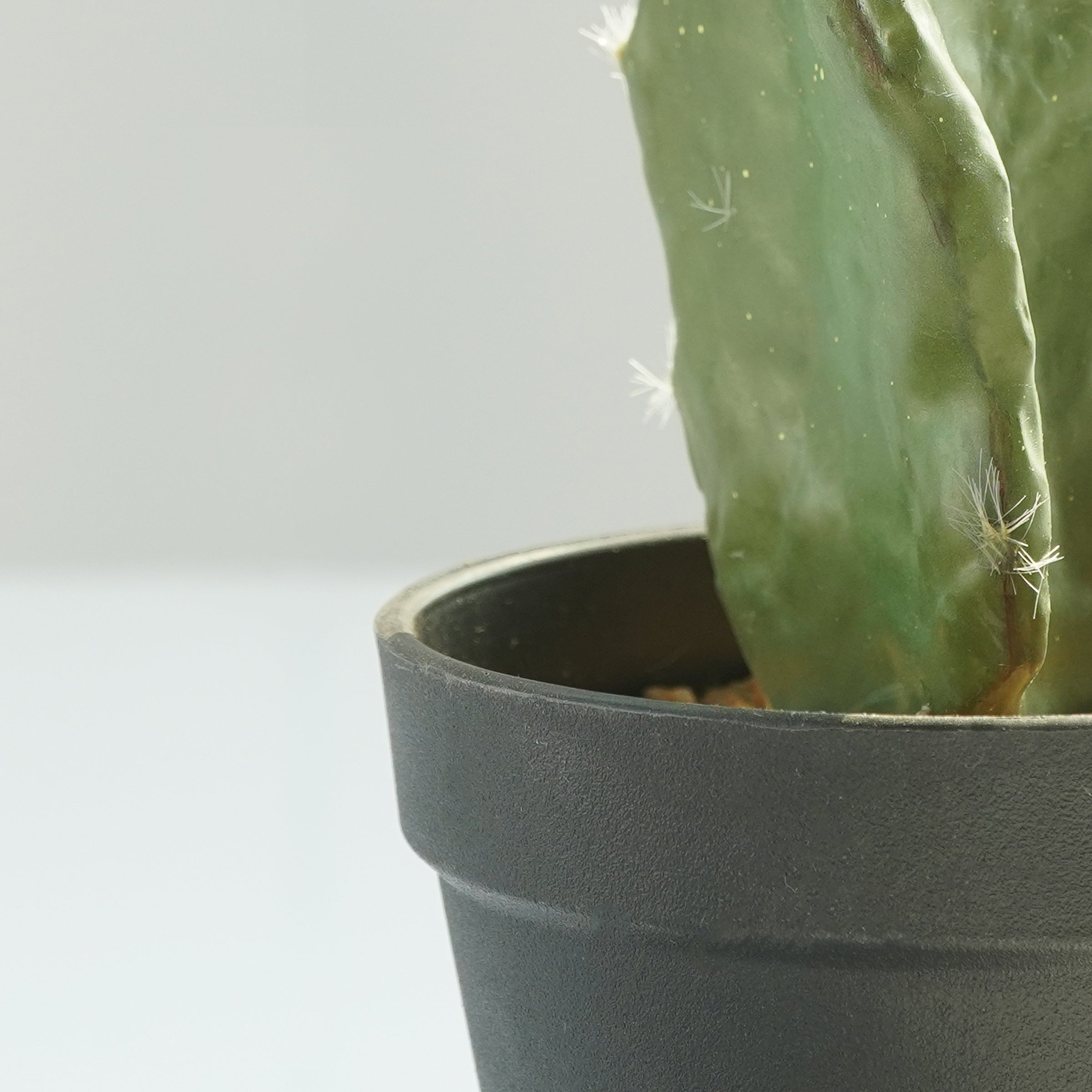 Handmade Decorative Artificial Potted Cactus  PR00015C -  Plants - ebarza Furniture UAE | Shop Modern Furniture in Abu Dhabi & Dubai - مفروشات ايبازرا في الامارات | تسوق اثاث عصري وديكورات مميزة في دبي وابوظبي