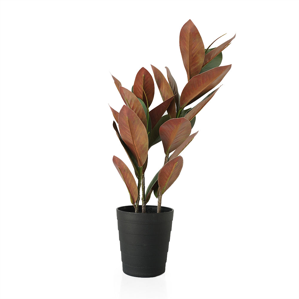 Handmade Decorative Artificial Potted Magnolia Plant N37220-PZ003 -  Plants - ebarza Furniture UAE | Shop Modern Furniture in Abu Dhabi & Dubai - مفروشات ايبازرا في الامارات | تسوق اثاث عصري وديكورات مميزة في دبي وابوظبي