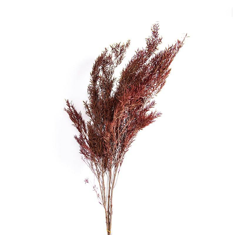 Natural Dried Flower Decoration G Fa-Jh2005G -  Plants - ebarza Furniture UAE | Shop Modern Furniture in Abu Dhabi & Dubai - مفروشات ايبازرا في الامارات | تسوق اثاث عصري وديكورات مميزة في دبي وابوظبي