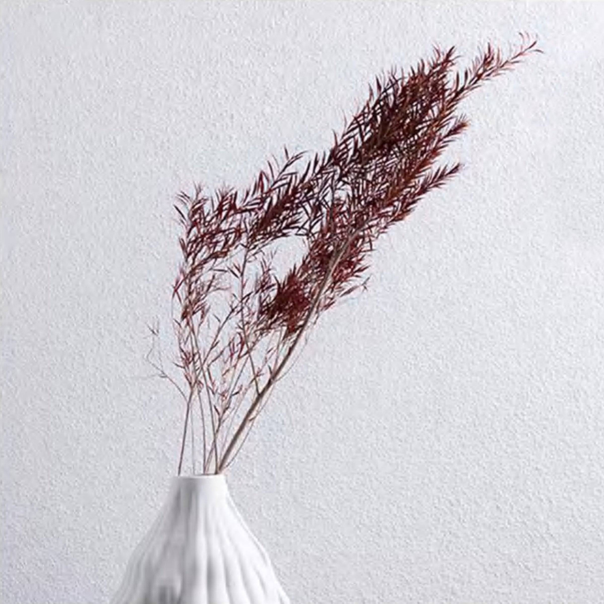 Natural Dried Flower Decoration G Fa-Jh2005G -  Plants - ebarza Furniture UAE | Shop Modern Furniture in Abu Dhabi & Dubai - مفروشات ايبازرا في الامارات | تسوق اثاث عصري وديكورات مميزة في دبي وابوظبي