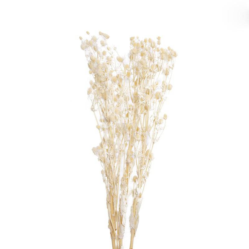Natural Dried Flower Decoration K Fa-Jh2005K -  Plants - ebarza Furniture UAE | Shop Modern Furniture in Abu Dhabi & Dubai - مفروشات ايبازرا في الامارات | تسوق اثاث عصري وديكورات مميزة في دبي وابوظبي