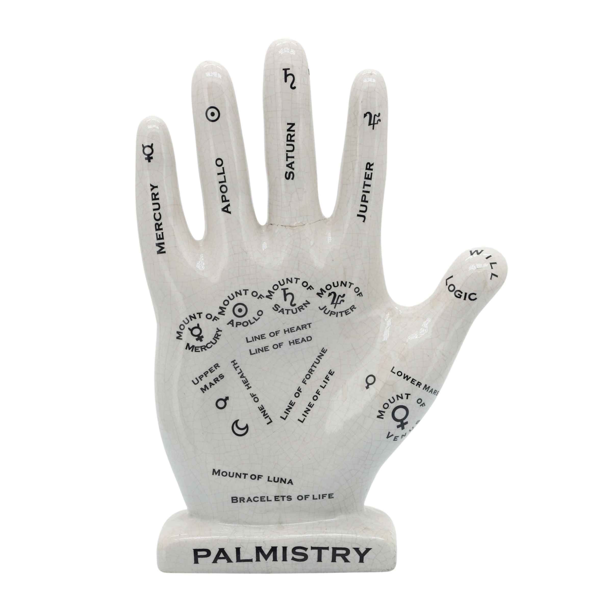 Palmistry Hand Porcelain Décor 30  Cm 16711-01 -  Home Decor Figurines - ebarza Furniture UAE | Shop Modern Furniture in Abu Dhabi & Dubai - مفروشات ايبازرا في الامارات | تسوق اثاث عصري وديكورات مميزة في دبي وابوظبي