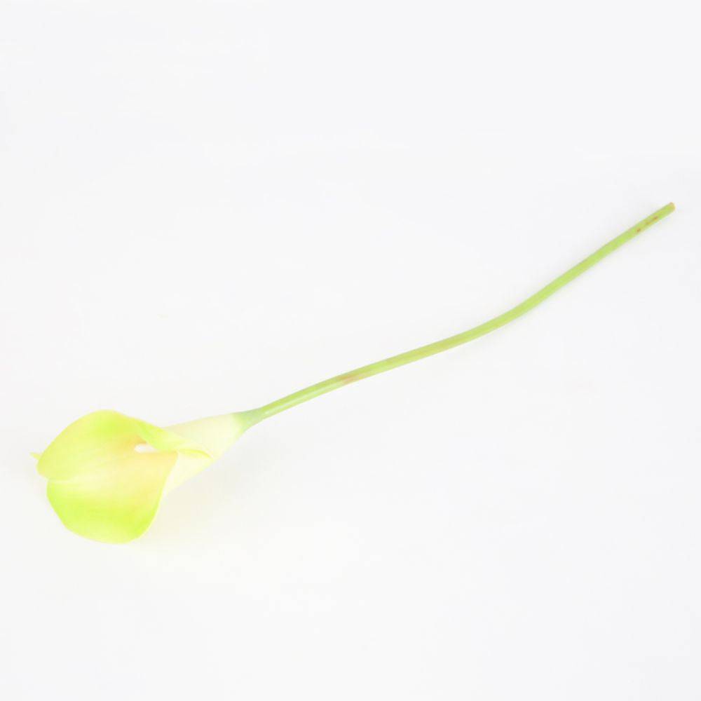 Real Touch  Pu Callas - Green Fl-Jh176 -  Plants - ebarza Furniture UAE | Shop Modern Furniture in Abu Dhabi & Dubai - مفروشات ايبازرا في الامارات | تسوق اثاث عصري وديكورات مميزة في دبي وابوظبي