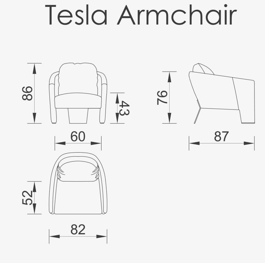 Display item - Tesla Armchair Tesla-001-YAS -  DISPLAY ITEM - ebarza Furniture UAE | Shop Modern Furniture in Abu Dhabi & Dubai - مفروشات ايبازرا في الامارات | تسوق اثاث عصري وديكورات مميزة في دبي وابوظبي