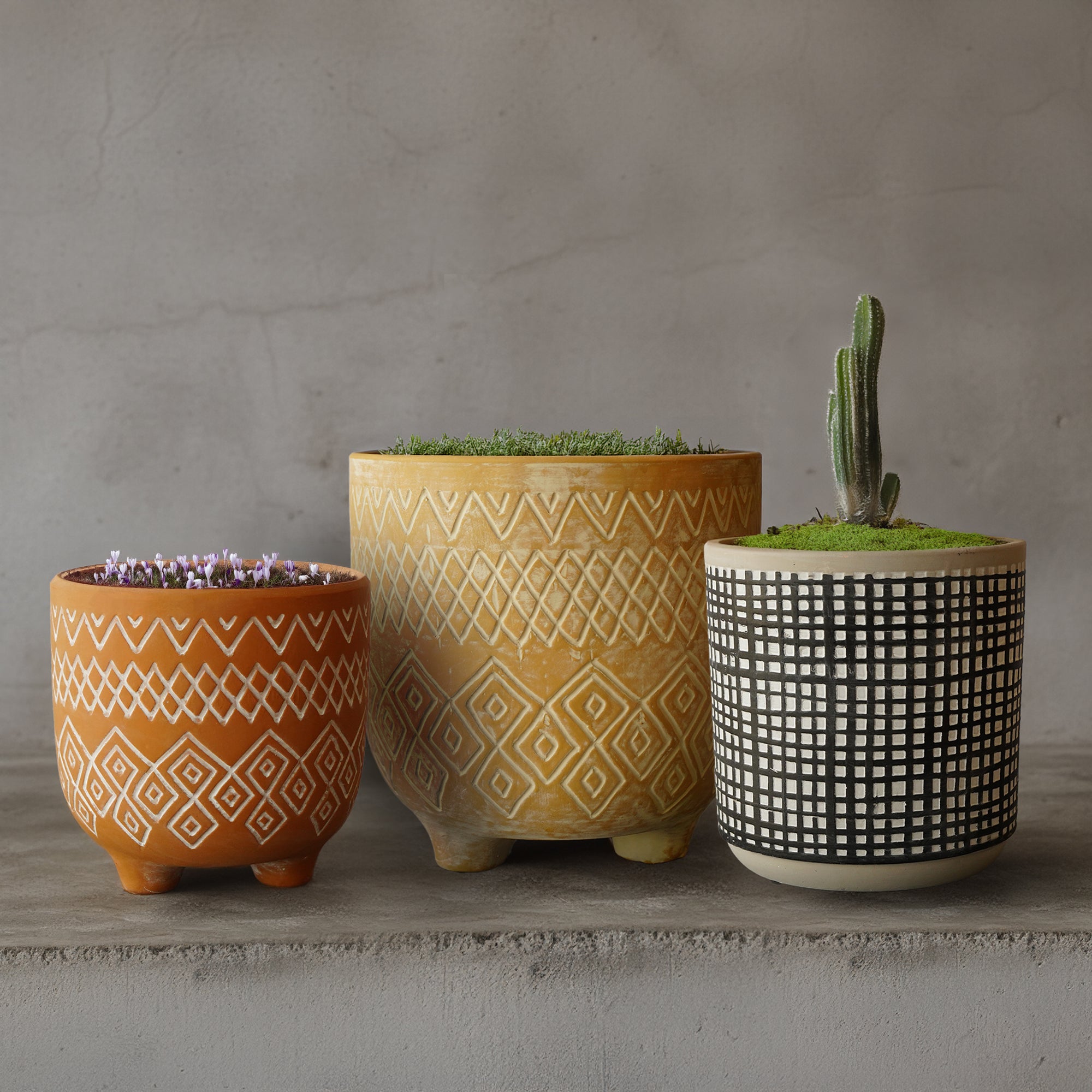 Polka Dot Outdoor/Indoor Planter Box ATBK  8072G-188 -  Planter Boxes - ebarza Furniture UAE | Shop Modern Furniture in Abu Dhabi & Dubai - مفروشات ايبازرا في الامارات | تسوق اثاث عصري وديكورات مميزة في دبي وابوظبي