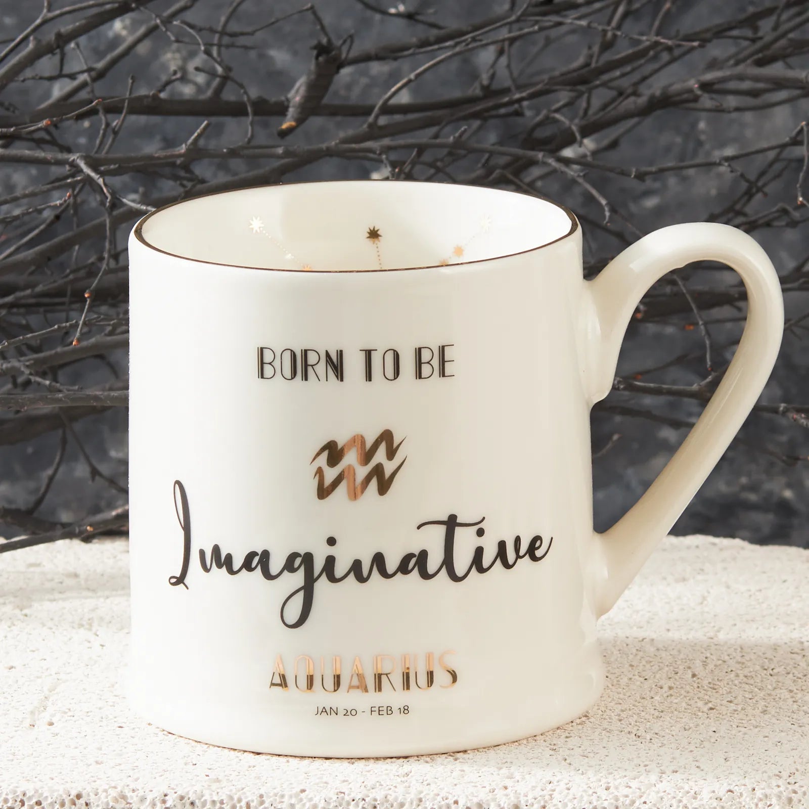 Karaca Aquarius Zodiac Trophy 153.03.06.5926 -  Mugs - ebarza Furniture UAE | Shop Modern Furniture in Abu Dhabi & Dubai - مفروشات ايبازرا في الامارات | تسوق اثاث عصري وديكورات مميزة في دبي وابوظبي